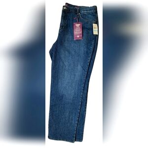 Gloria Vanderbilt Women's PlusSize Amanda Tapered Leg Jean, Phoenix, 20W Average